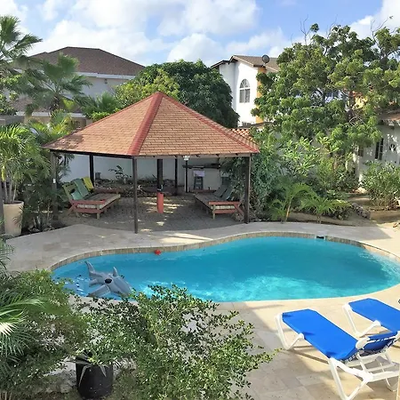 Parrot Villa